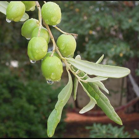 شقة La Vigne Et L'Olivier فينوف ليز أفيجْنْ المظهر الخارجي الصورة