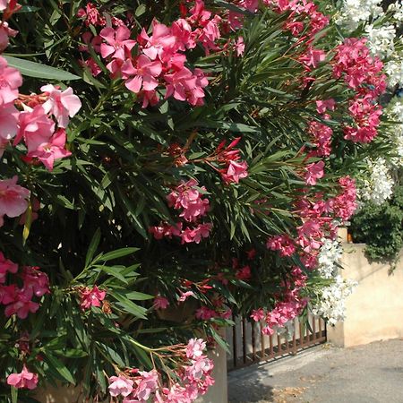 شقة La Vigne Et L'Olivier فينوف ليز أفيجْنْ المظهر الخارجي الصورة
