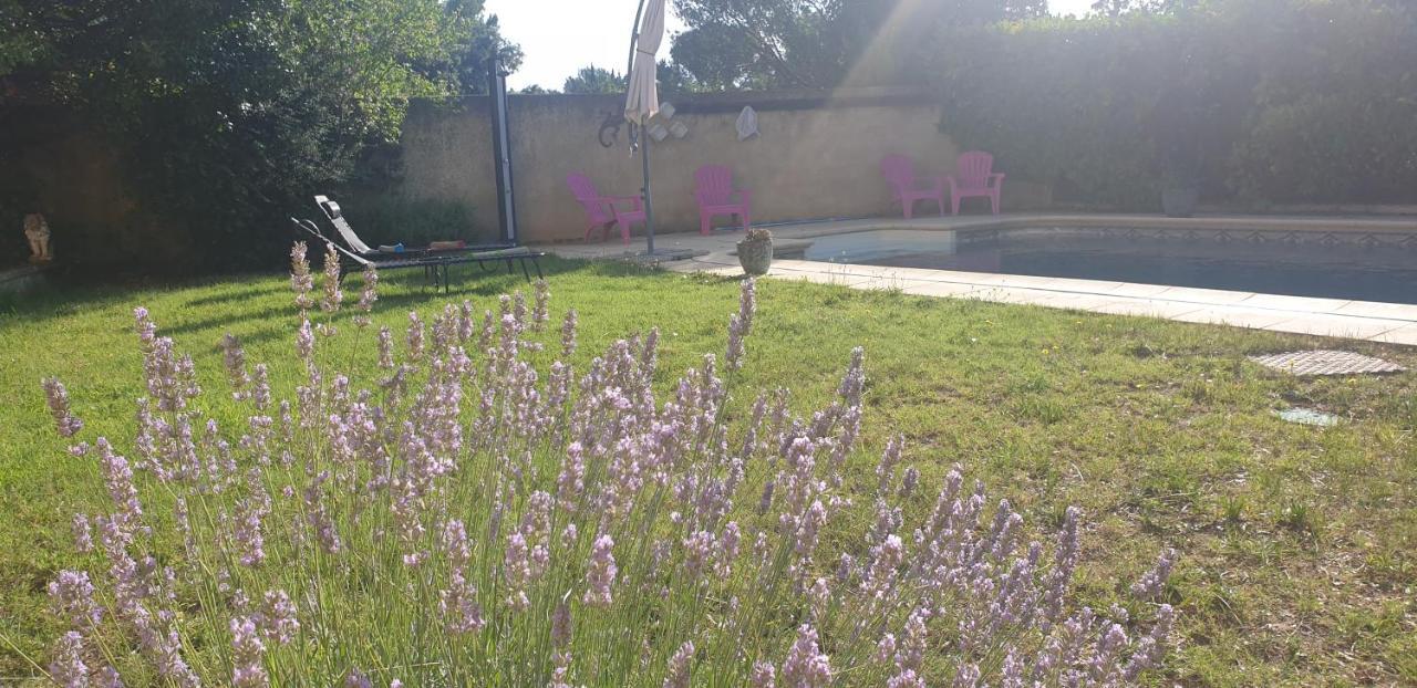 شقة La Vigne Et L'Olivier فينوف ليز أفيجْنْ المظهر الخارجي الصورة